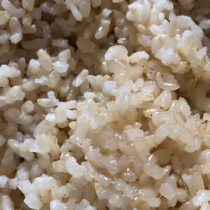 冷凍保存で毎日 発芽玄米ご飯